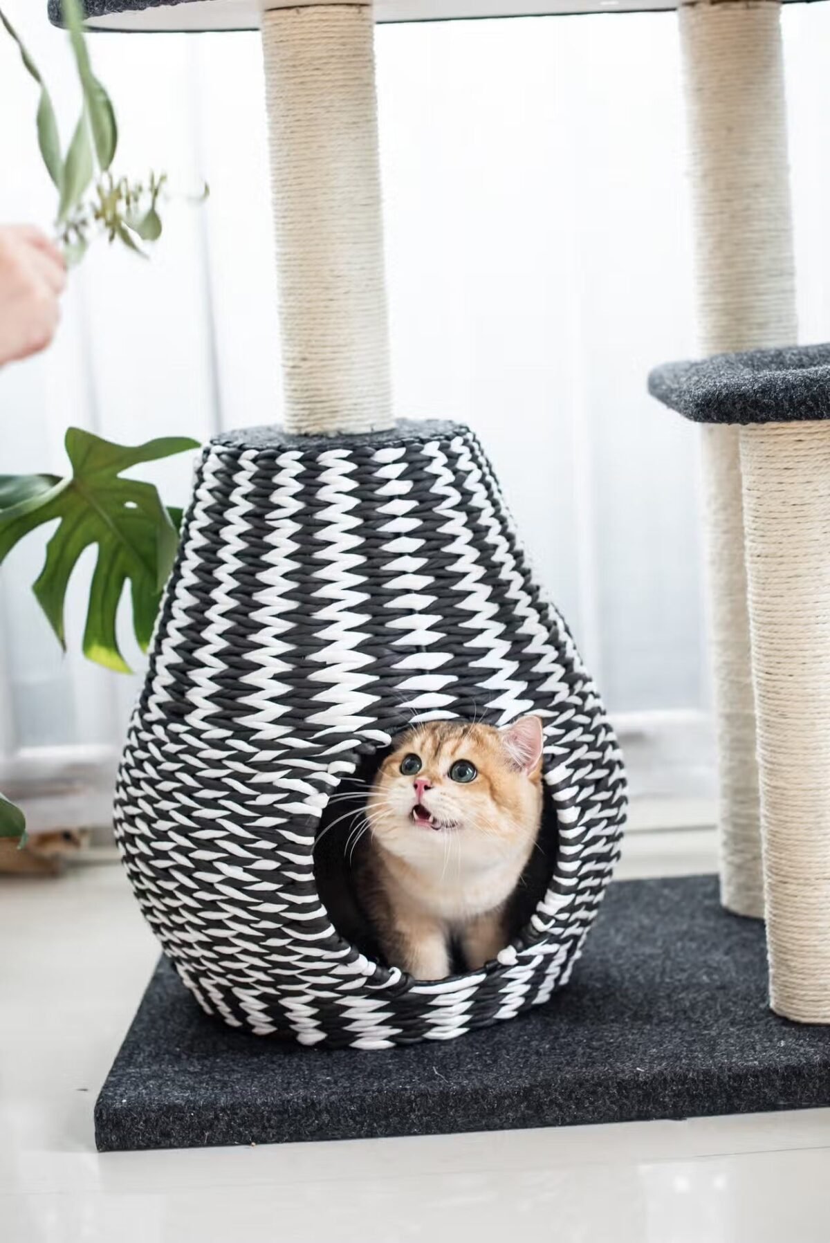 Natural, Sustainable Handwoven Cat Tree - Image 4