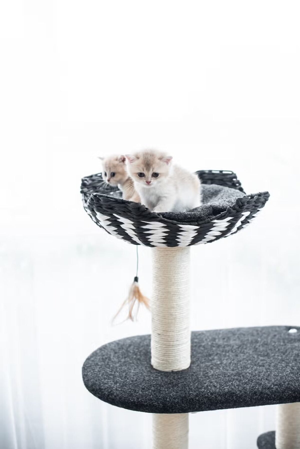 Natural, Sustainable Handwoven Cat Tree - Image 6
