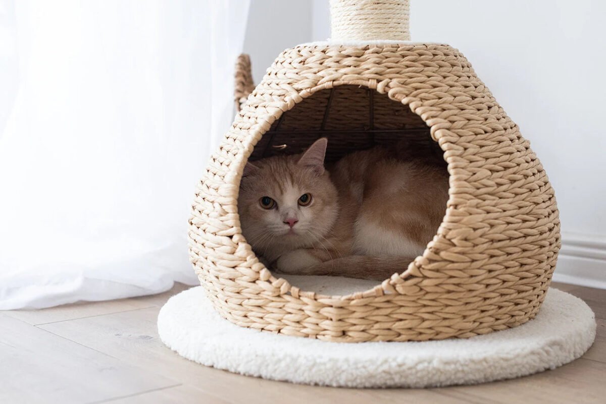 Walk Up Natural Aesthetic, Handwoven Cat Tree - Image 3