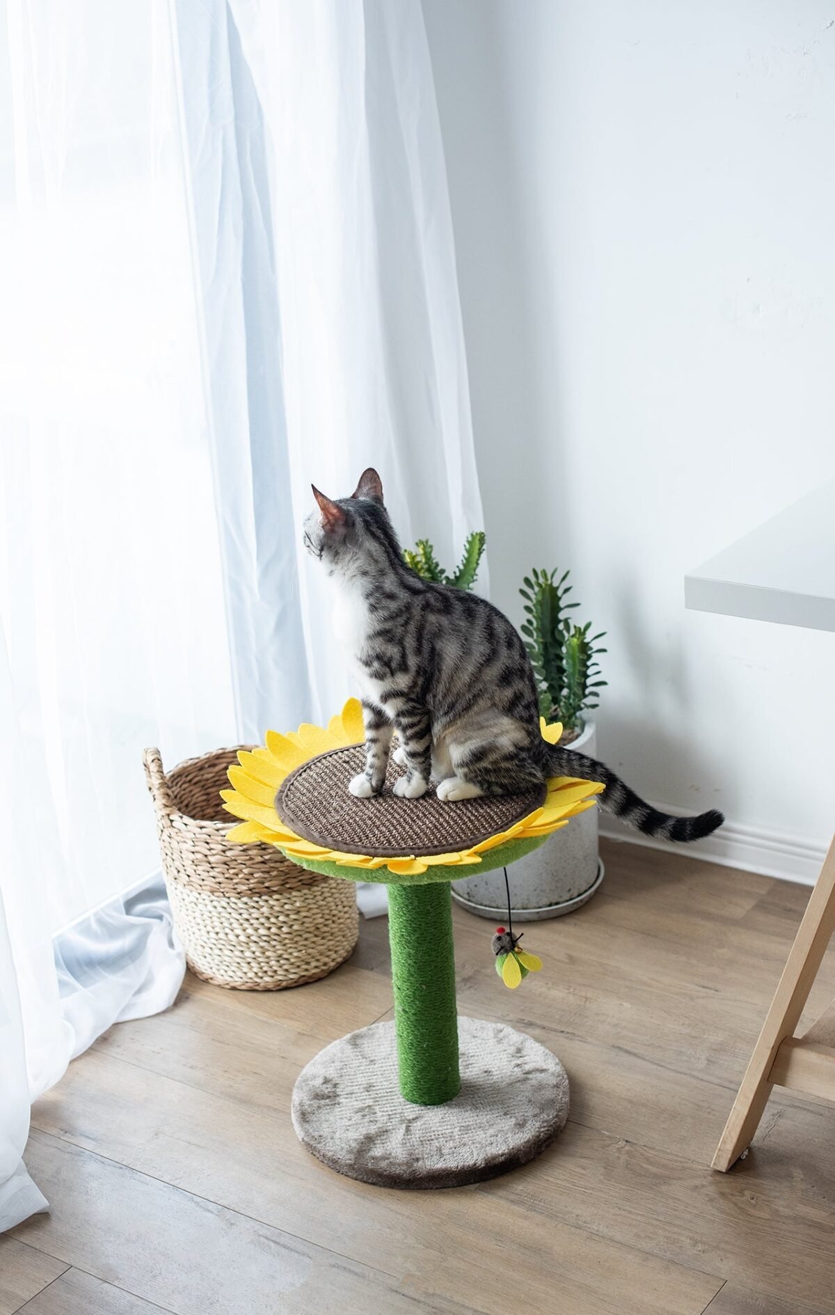 Sunflower Cat Scratcher - Image 7