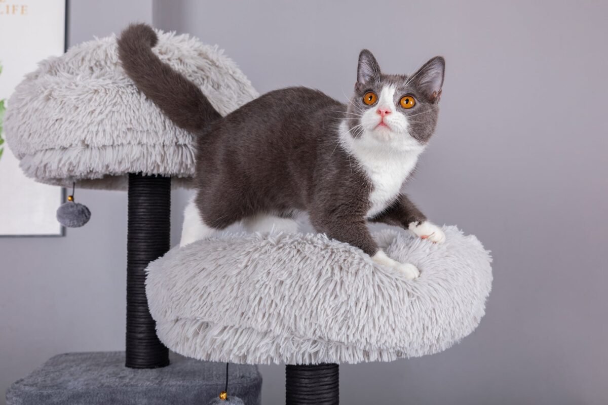 Bradbury 7 Level Gray Cat Tree - Image 6