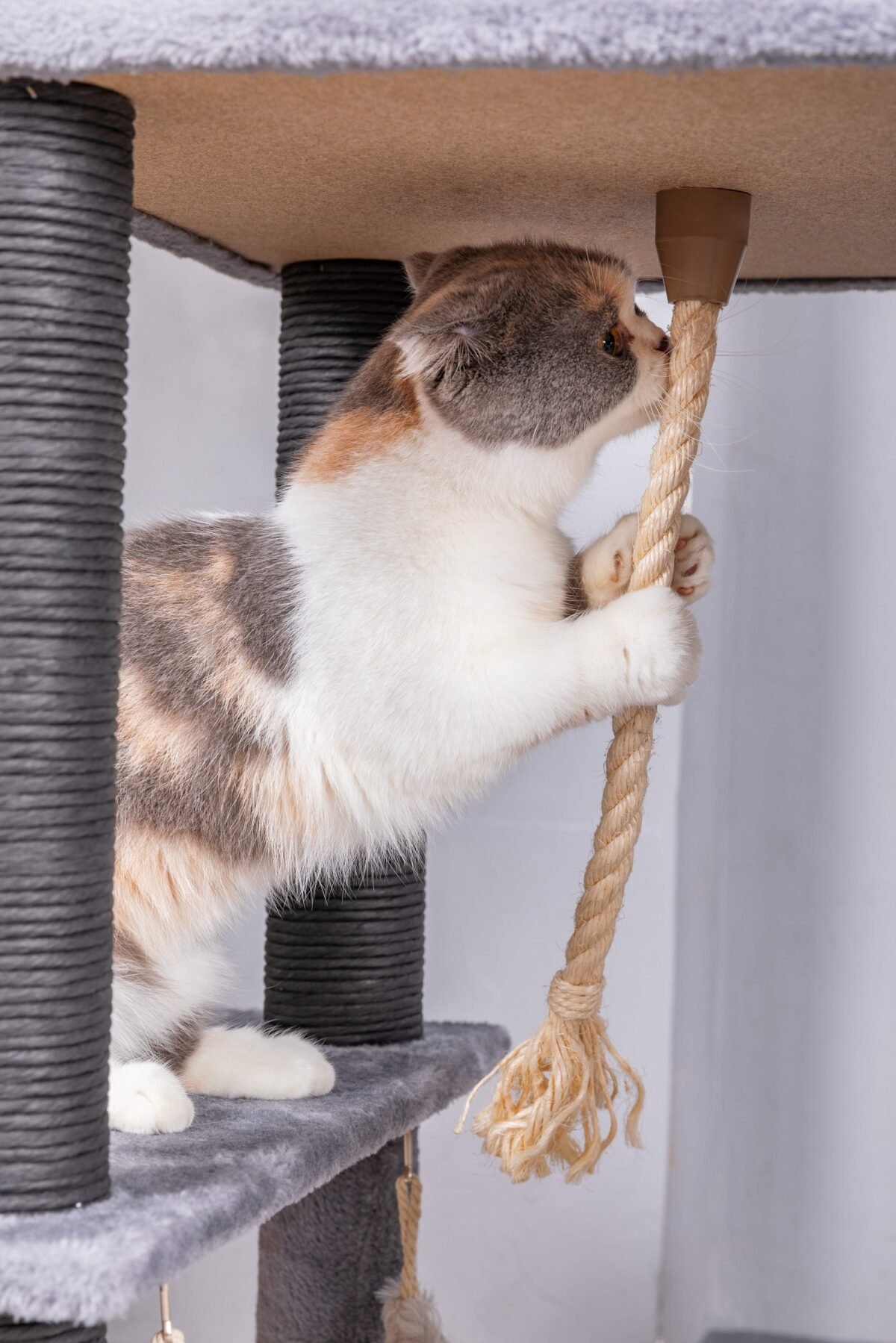 Bradbury 7 Level Gray Cat Tree - Image 5