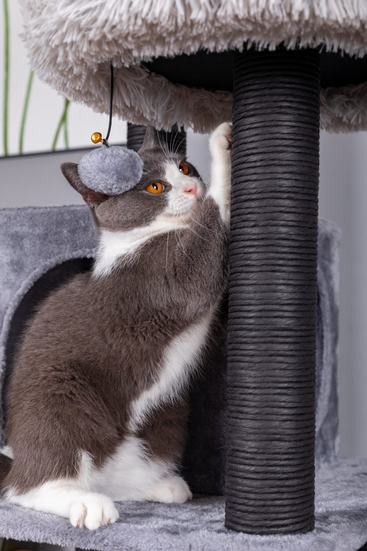 Bradbury 7 Level Gray Cat Tree - Image 9