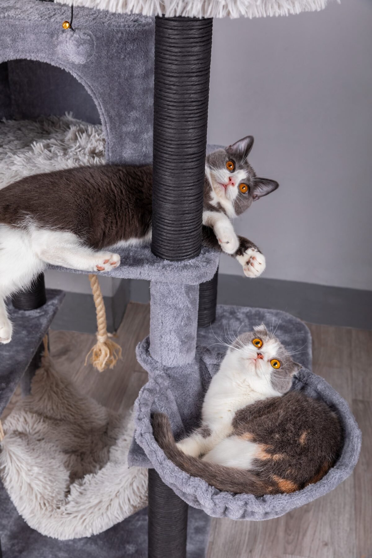 Bradbury 7 Level Gray Cat Tree - Image 4