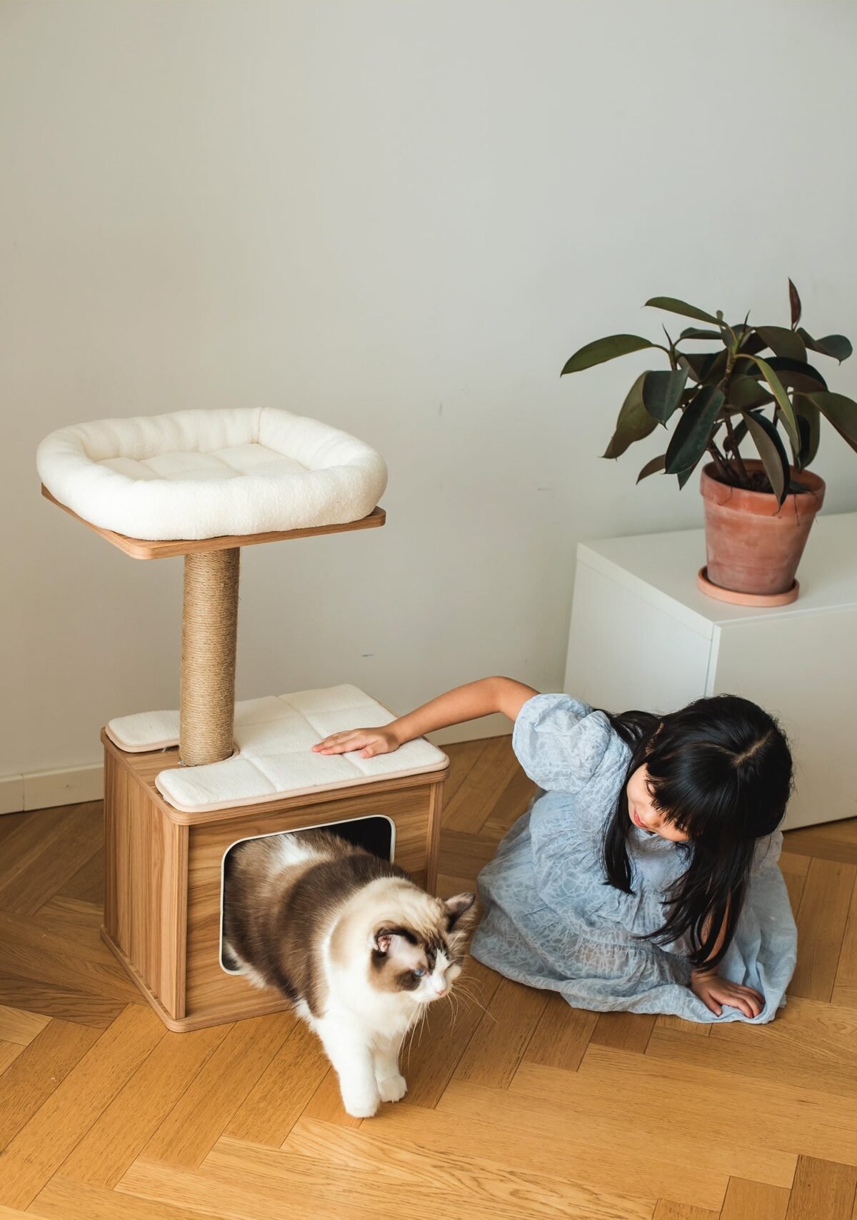 Cedar Cat Tree Condo - Image 3
