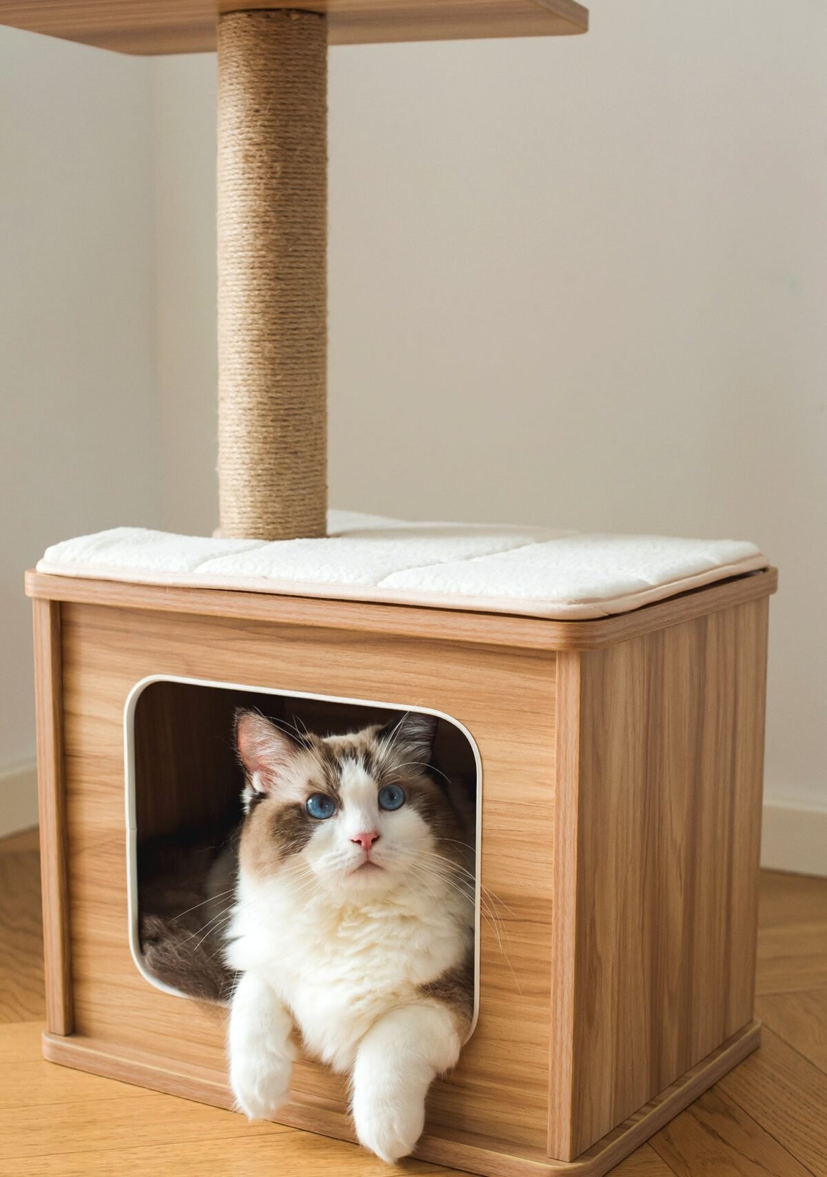 Cedar Cat Tree Condo - Image 5