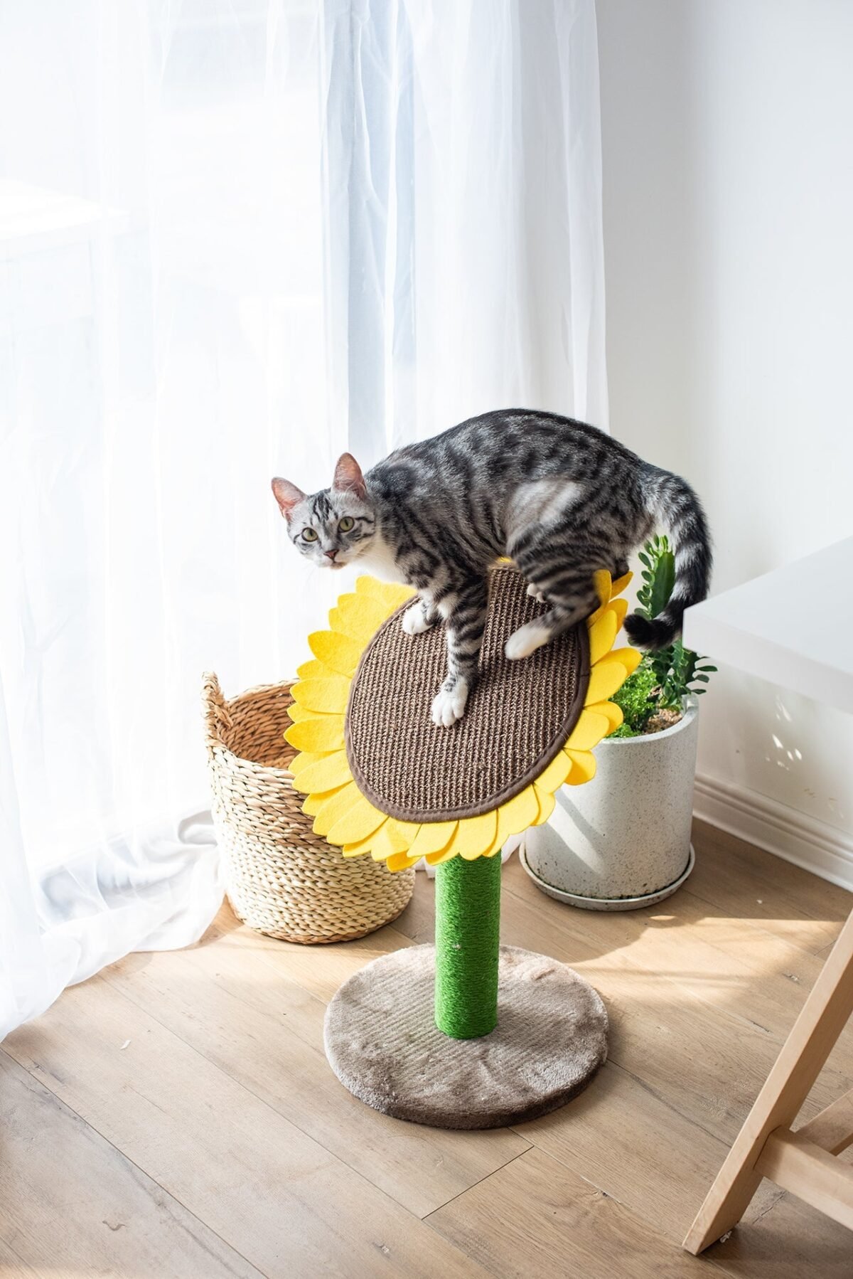 Sunflower Cat Scratcher - Image 6