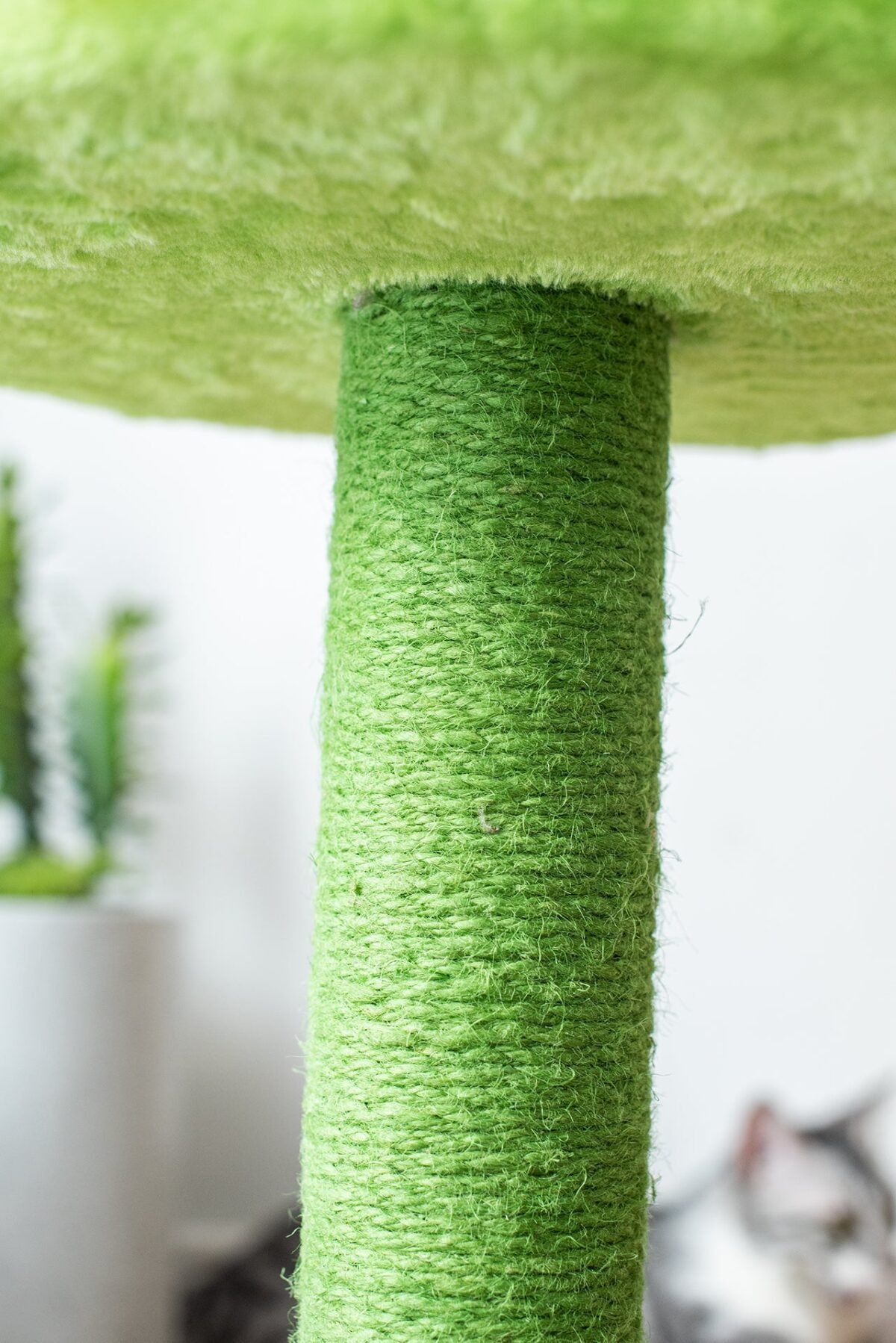 Sunflower Cat Scratcher - Image 11