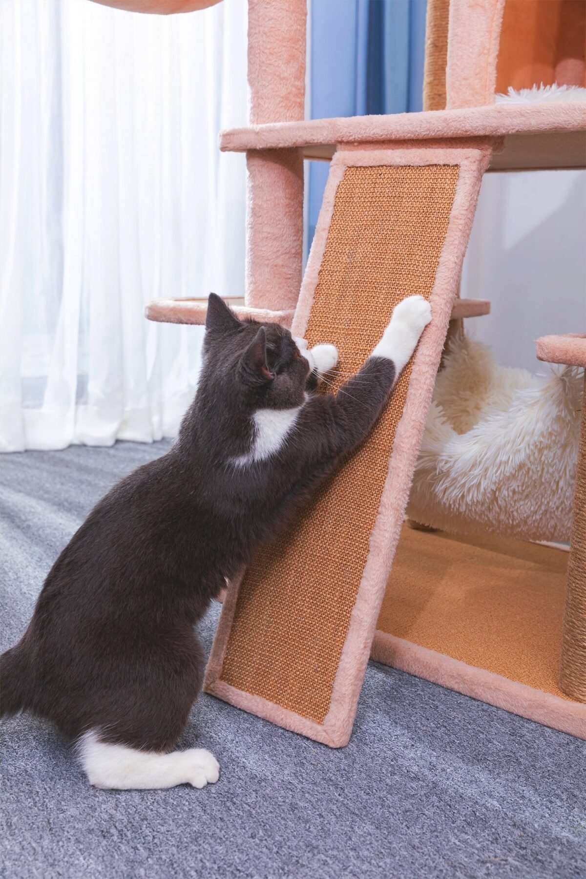 Castle 8 Level Cat Tower - Image 9